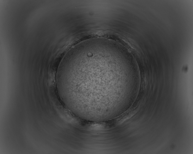 X0000091670236200708301506