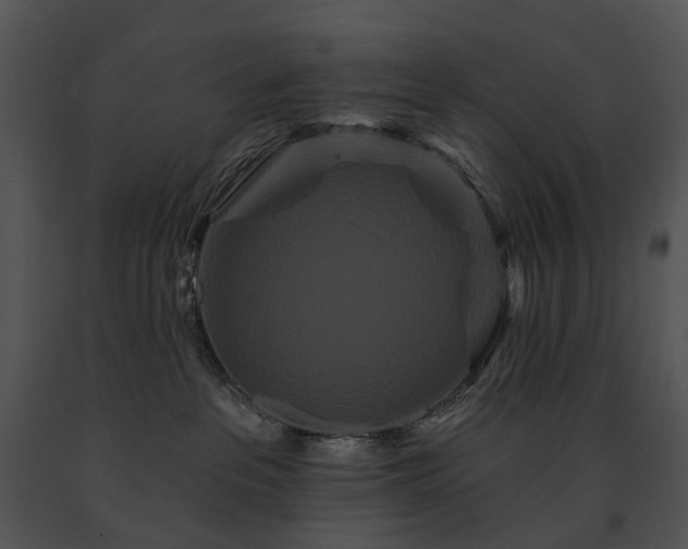 X0000091670237200708301505