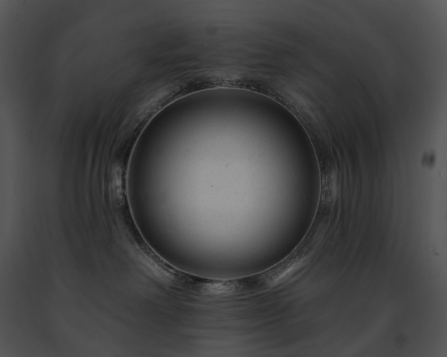 X0000091670238200708301505