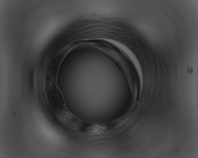 X0000091670239200708301505