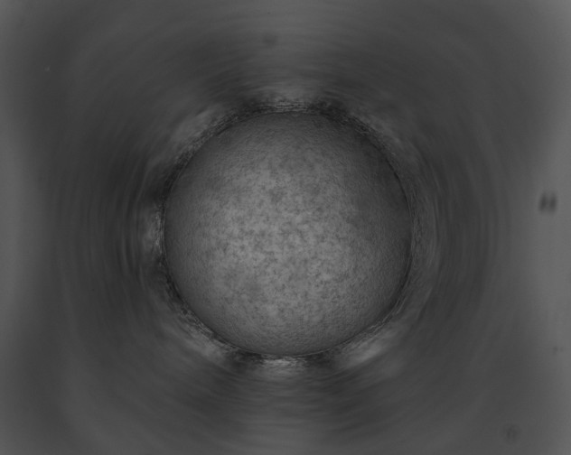 X0000091670240200708301505