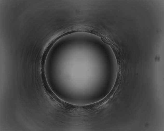 X0000091670244200708301505
