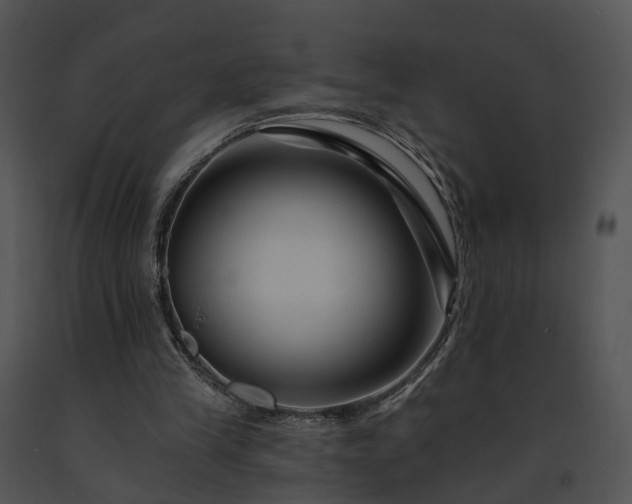 X0000091670245200708301505