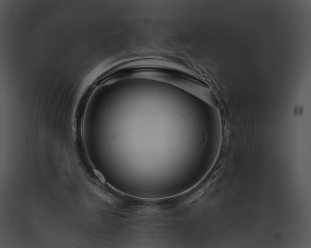 X0000091670246200708301505