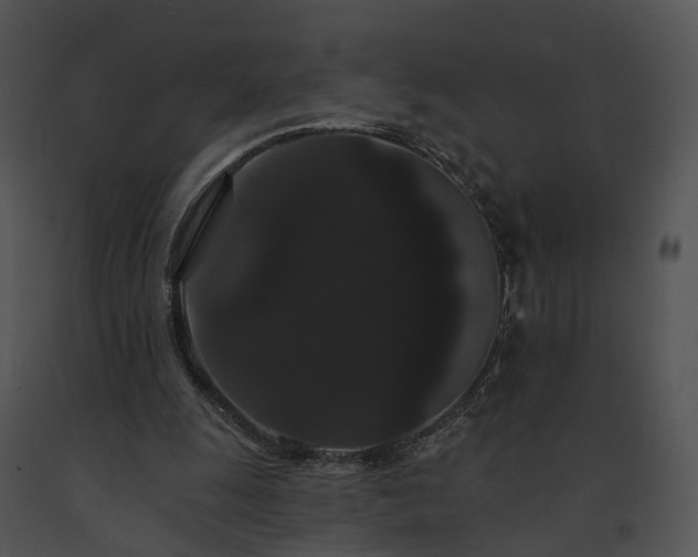 X0000091670247200708301505