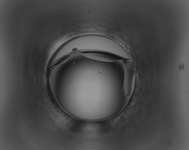 X0000091670248200708301505