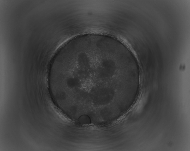 X0000091670249200708301505
