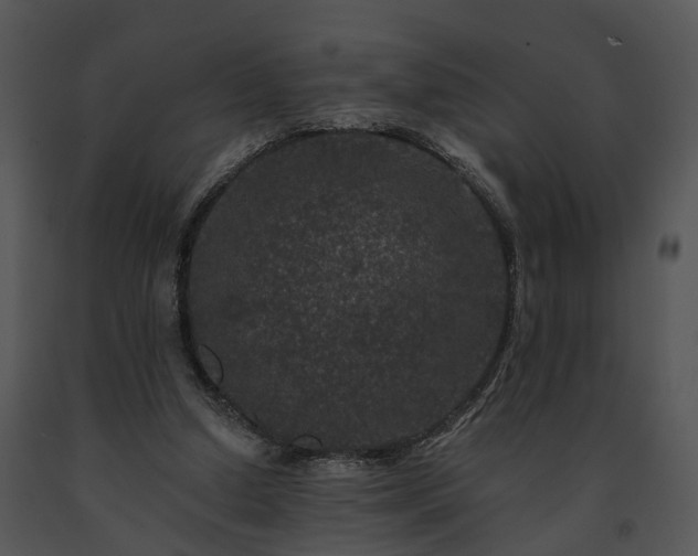 X0000091670250200708301505
