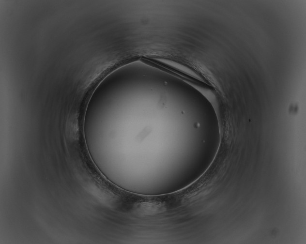 X0000091670251200708301505