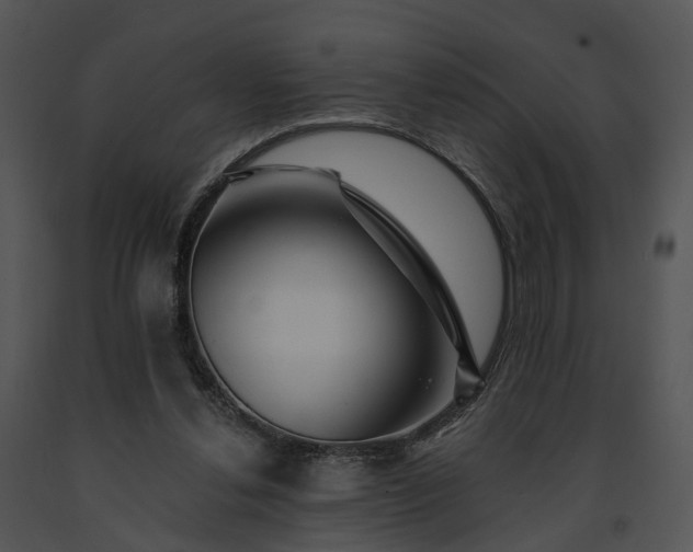 X0000091670252200708301505