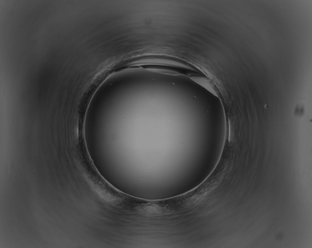 X0000091670253200708301505