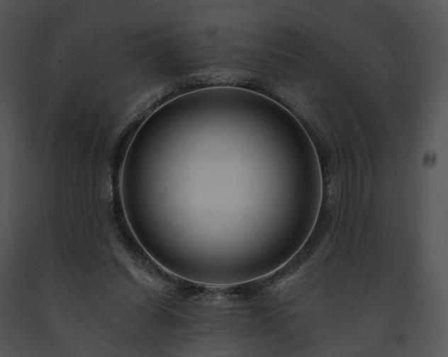 X0000091670254200708301505
