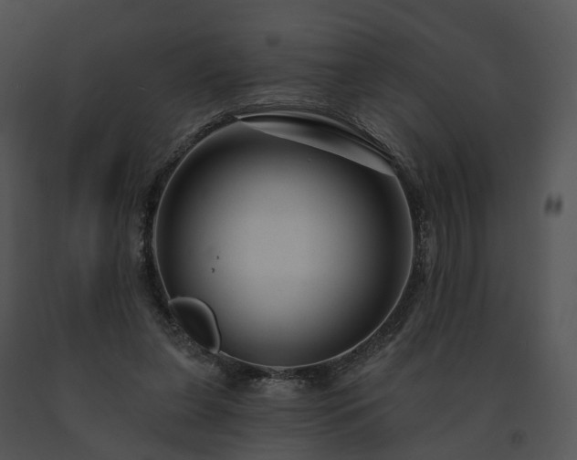 X0000091670255200708301505