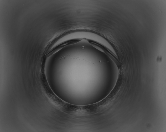 X0000091670256200708301505