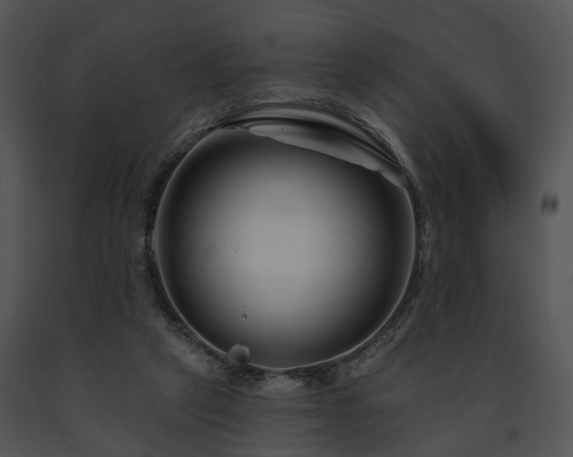 X0000091670257200708301505