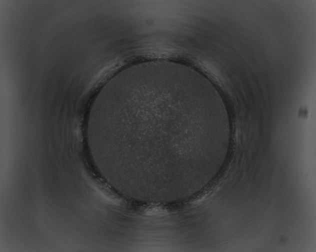X0000091670258200708301505