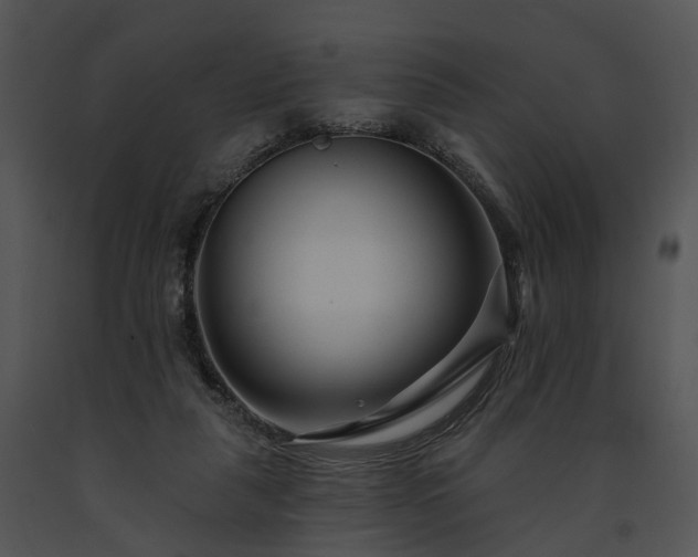 X0000091670259200708301505