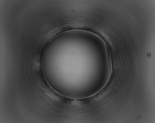 X0000091670261200708301505