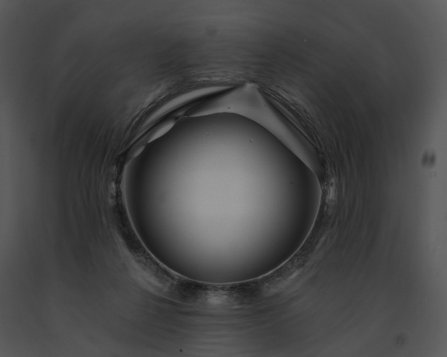 X0000091670264200708301505