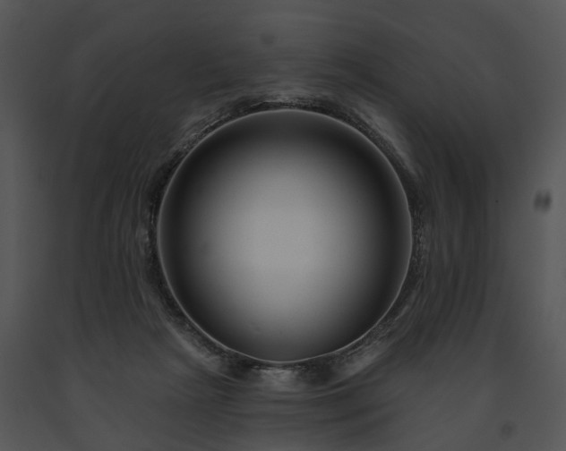 X0000091670265200708301505