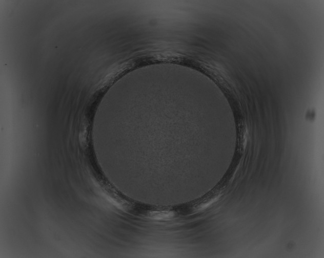 X0000091670266200708301505