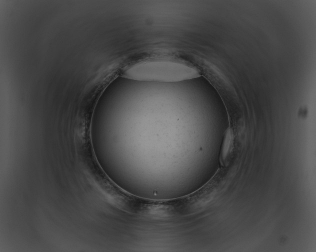 X0000091670268200708301505