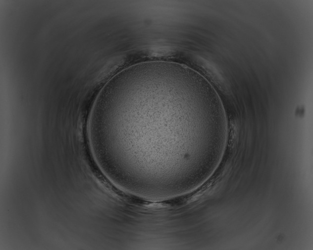 X0000091670269200708301505