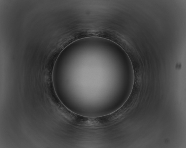 X0000091670270200708301505