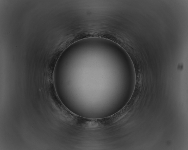 X0000091670272200708301505