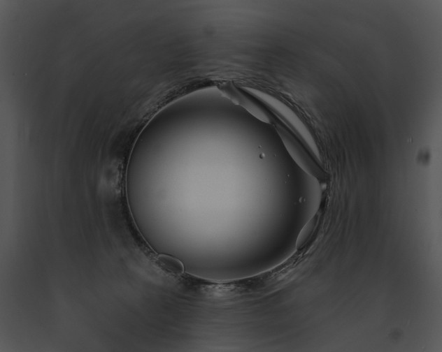 X0000091670273200708301505