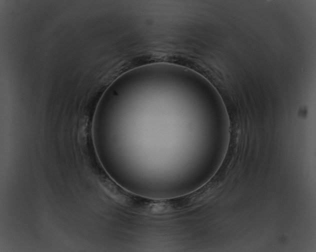 X0000091670275200708301505