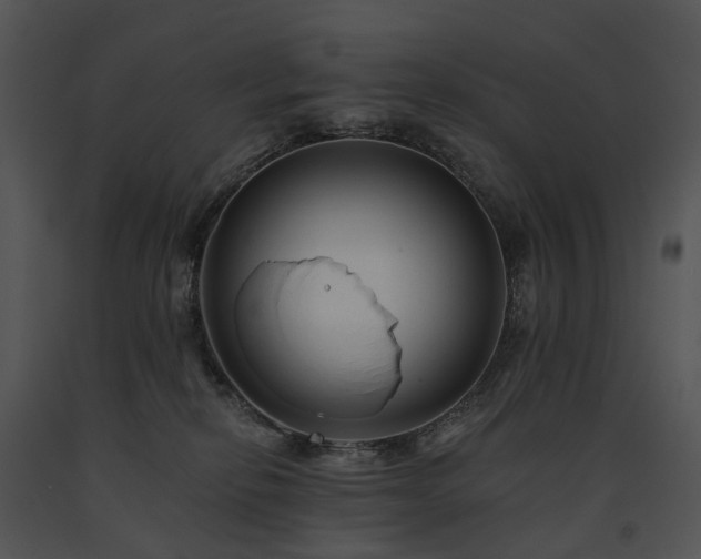 X0000091670278200708301505