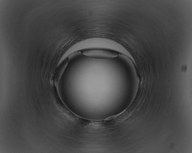 X0000091670280200708301505