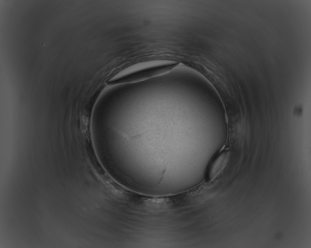 X0000091670281200708301505