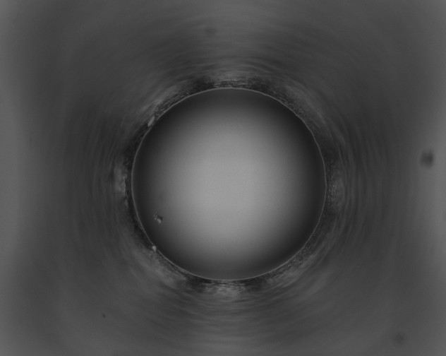 X0000091670282200708301505