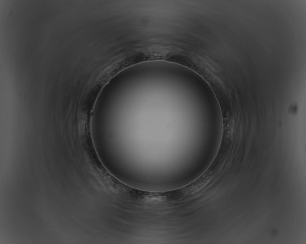 X0000091670283200708301505