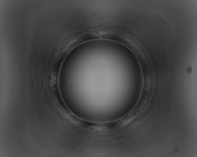 X0000091670284200708301505