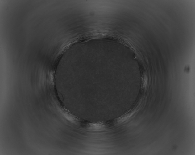 X0000091670286200708301505