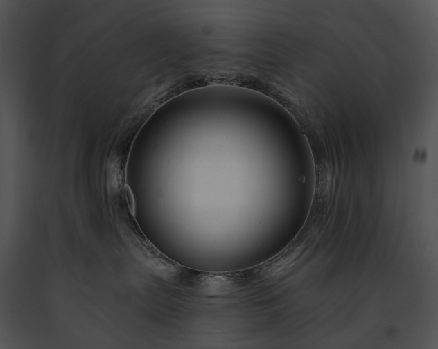 X0000091670287200708301505