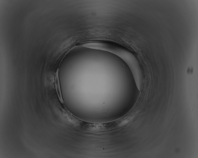 X0000091670288200708301505