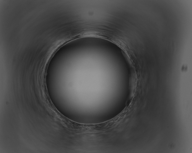 X0000091670289200708301505