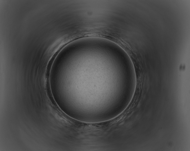 X0000091670290200708301505