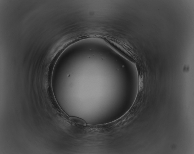 X0000091670291200708301505