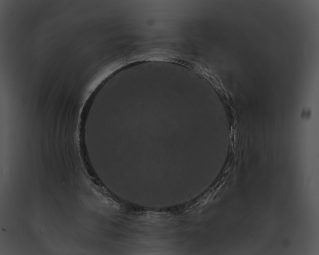X0000091670292200708301505