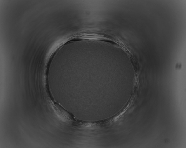 X0000091670293200708301505