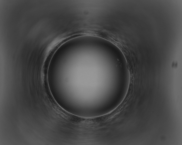 X0000091670294200708301505