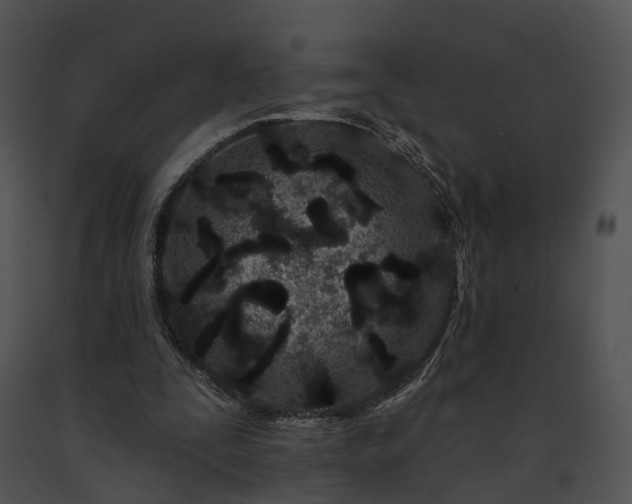 X0000091670295200708301505