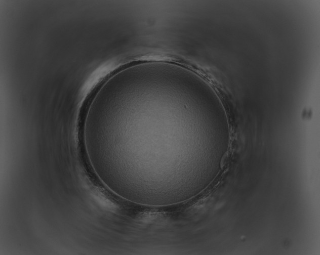 X0000091670296200708301505