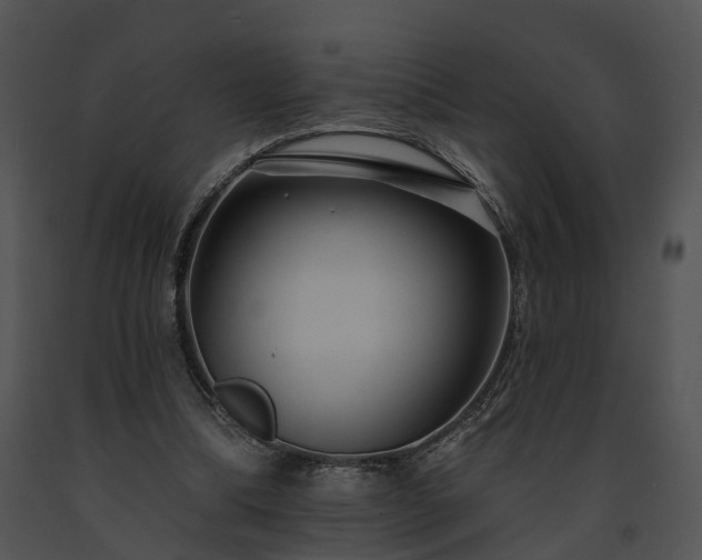 X0000091670298200708301505