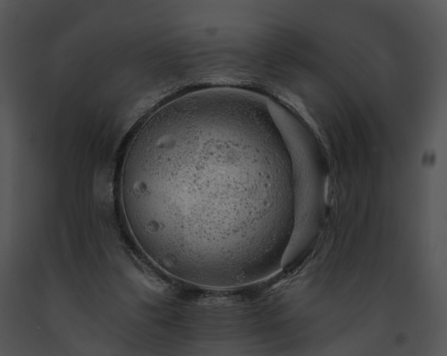 X0000091670299200708301505